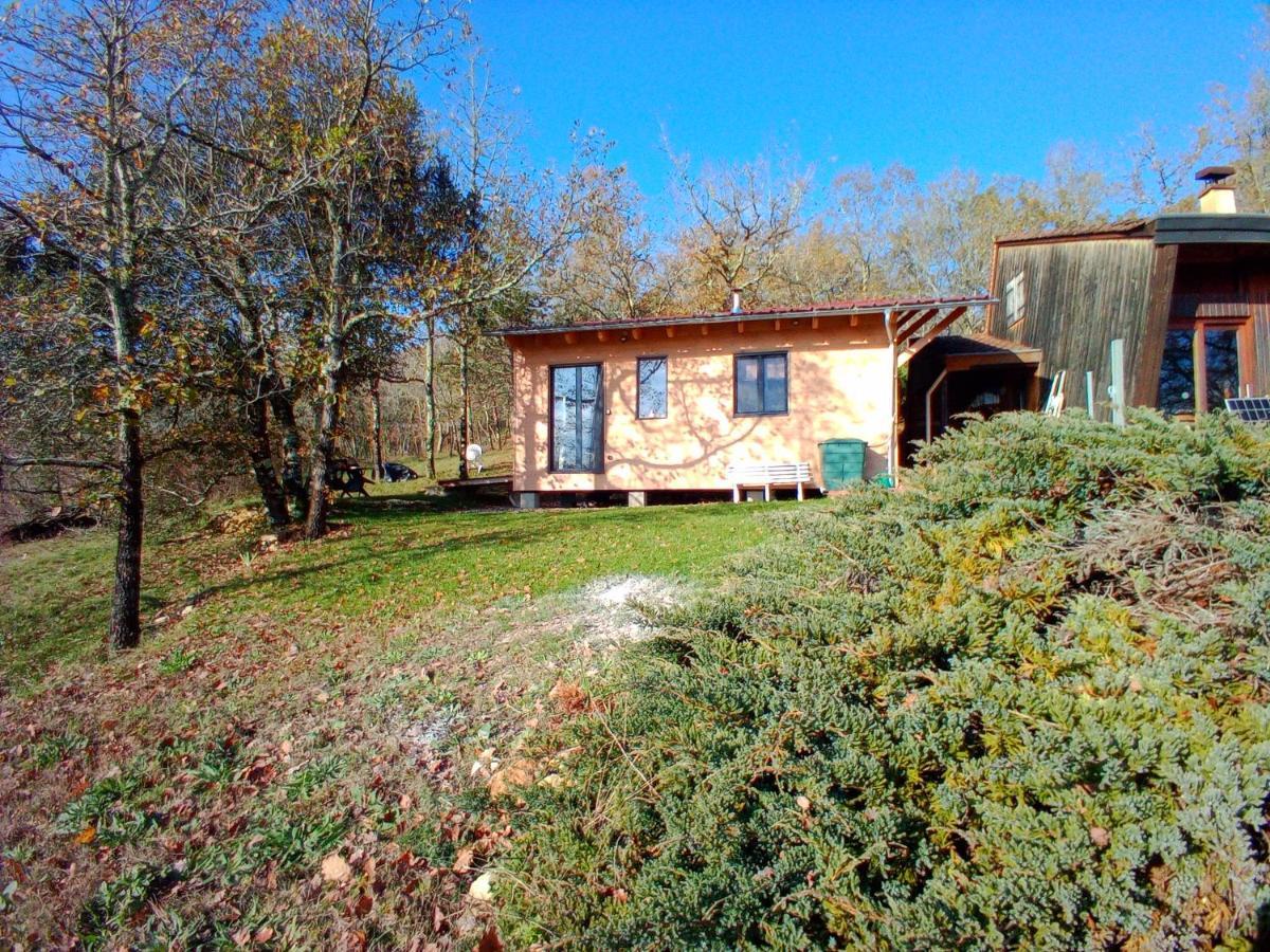 Maison Dans Un Ecrin De Verdure Casa vacanze